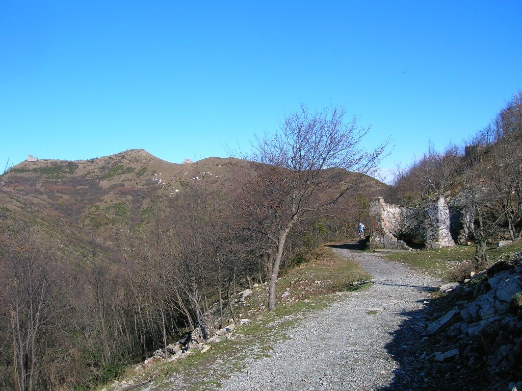 varie029.jpg