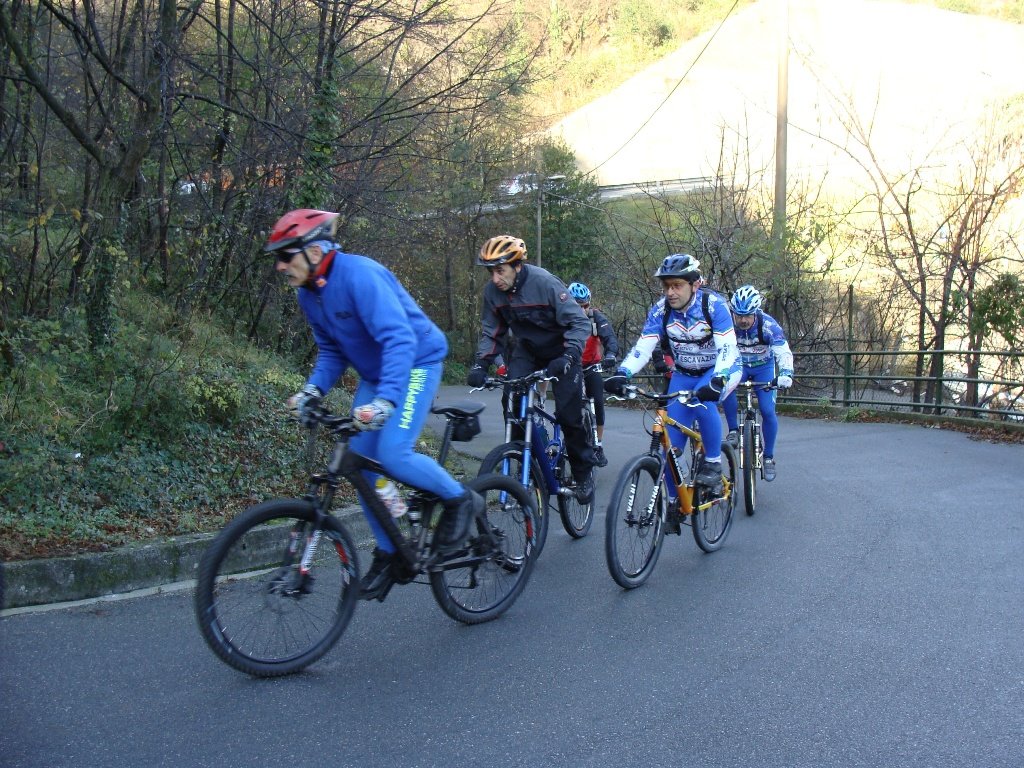 photo21.jpg