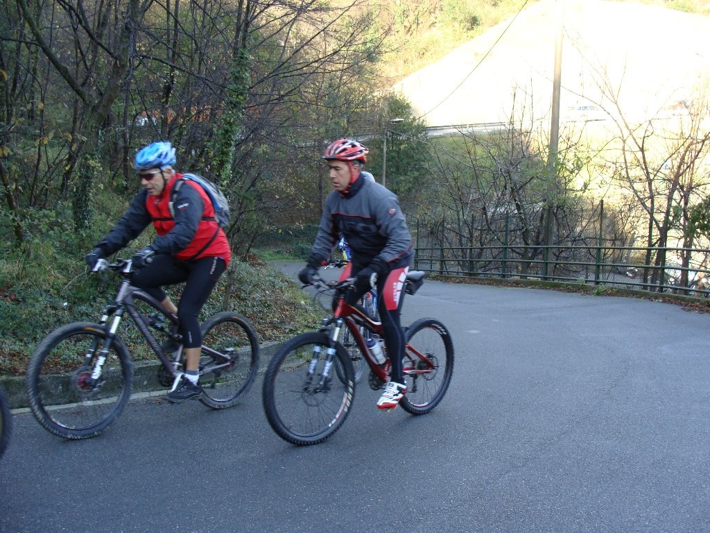 photo22.jpg