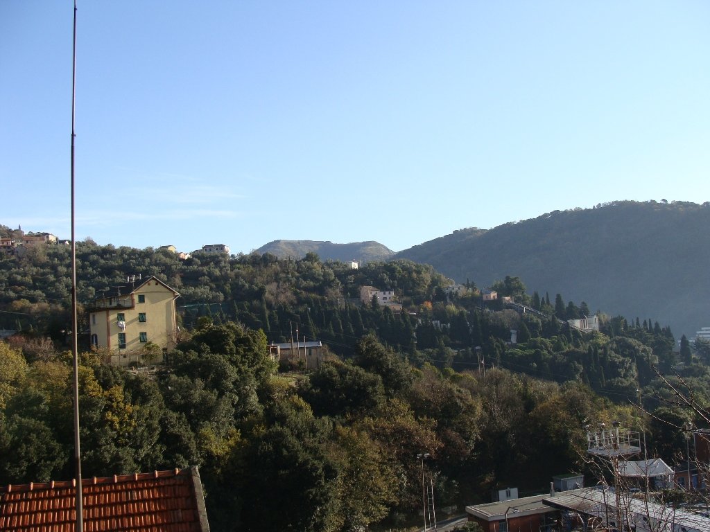 photo26.jpg