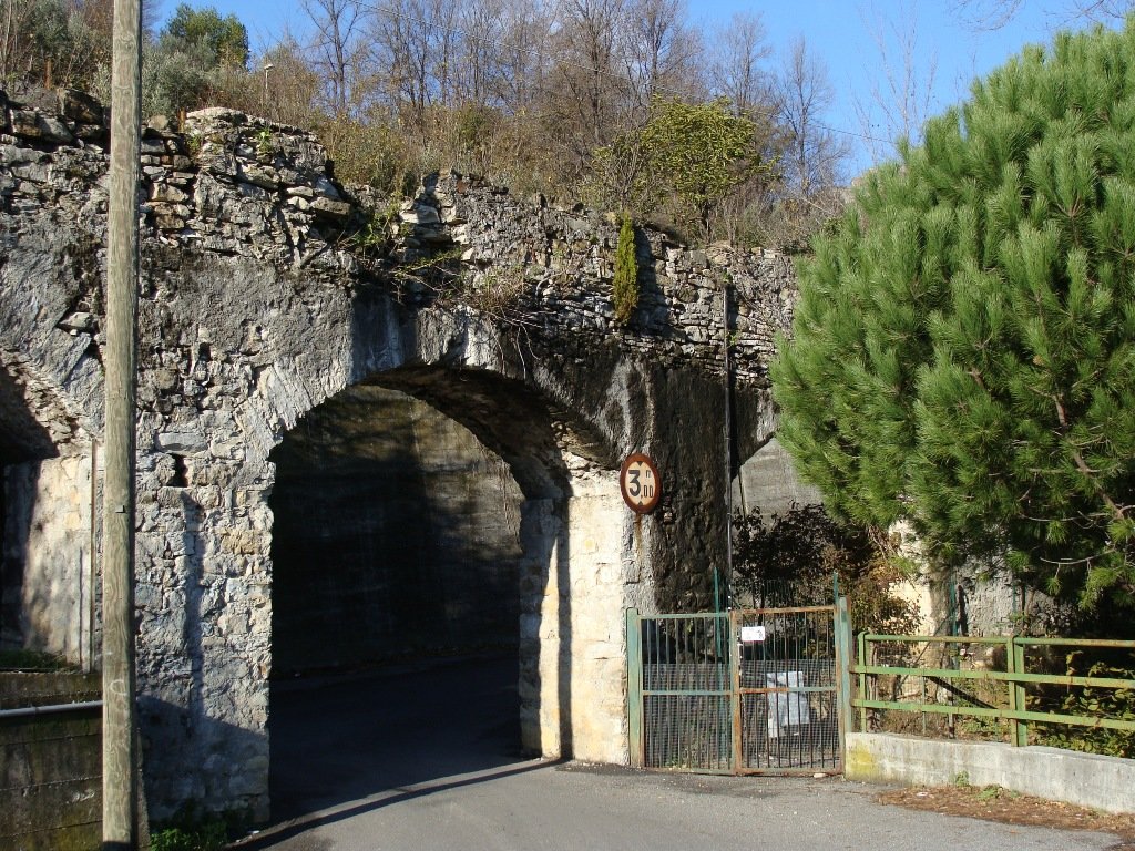 photo27.jpg