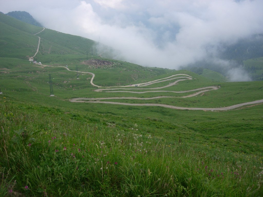 dscn3724.jpg