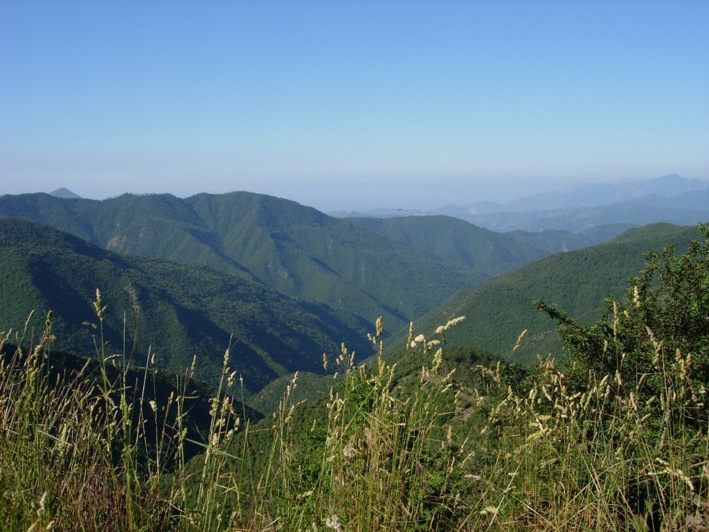 dscn3736.jpg