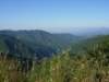 dscn3736_small.jpg