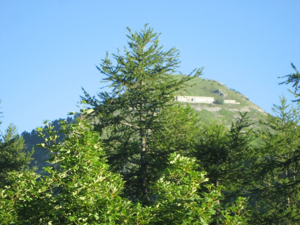 img_2335.jpg