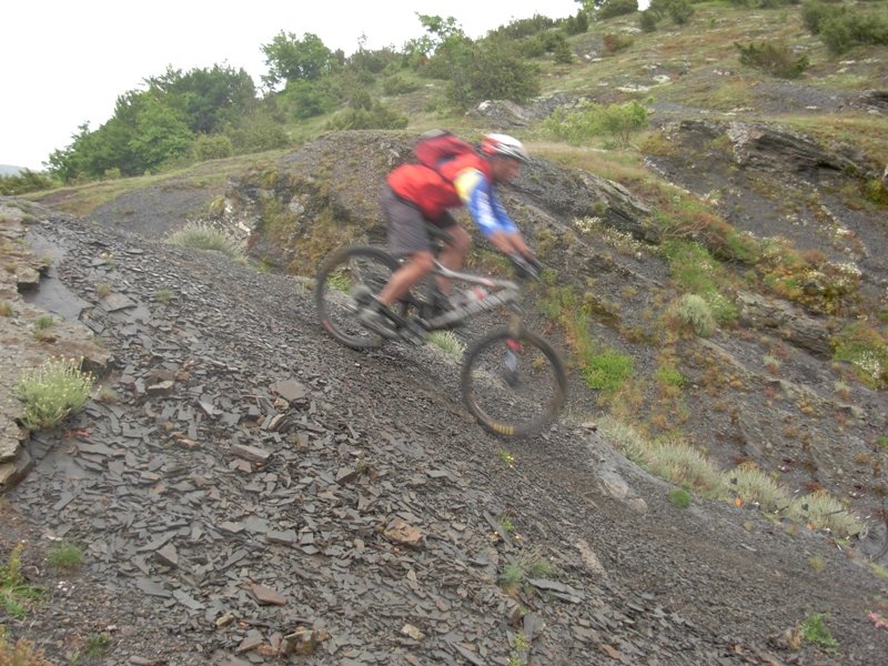 dscn0818.jpg