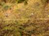 dscn1610_small.jpg