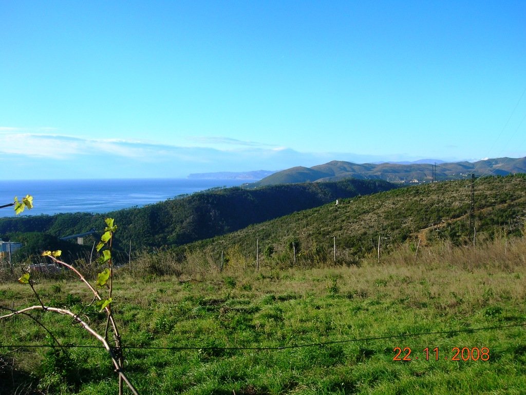 dscn7101.jpg