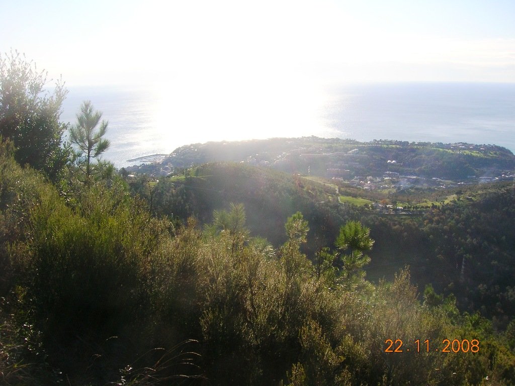dscn7109.jpg