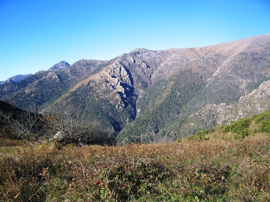img_0073.jpg