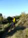 dsc00180_small.jpg
