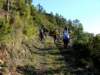 dsc00183_small.jpg