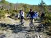 dsc00195_small.jpg