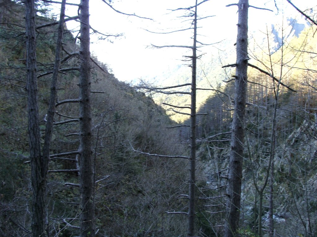 dsc00200.jpg