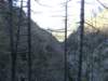 dsc00200_small.jpg