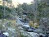 dsc00207_small.jpg