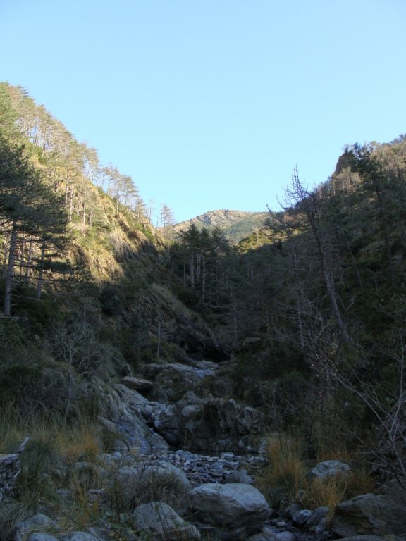 dsc00208.jpg