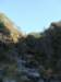 dsc00208_small.jpg
