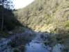 dsc00209_small.jpg