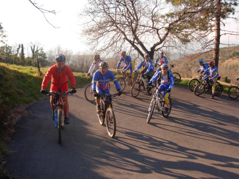 photo8.jpg