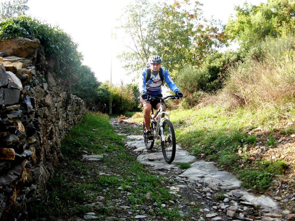 dscn1630.jpg