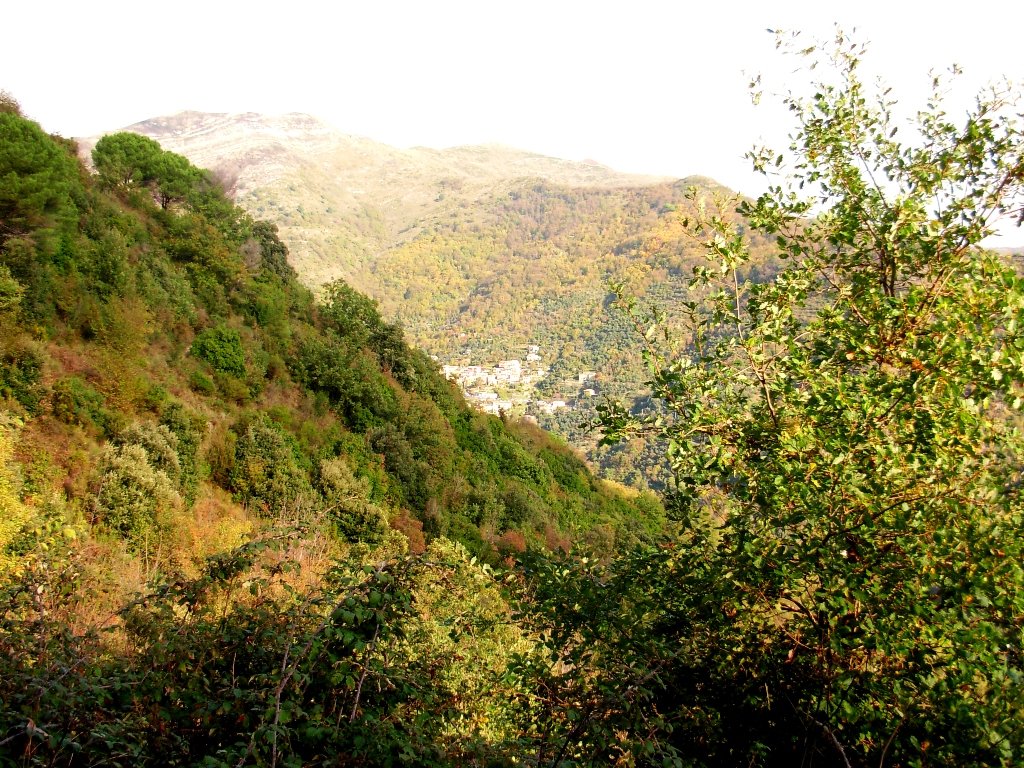 dscn1634.jpg