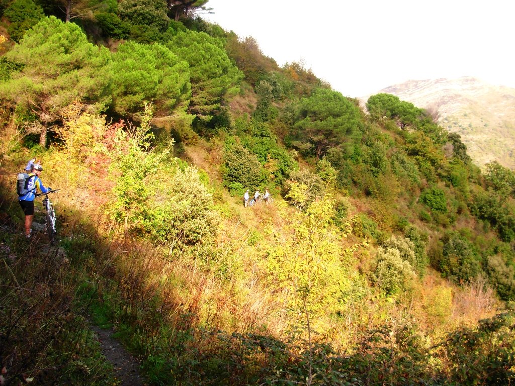 dscn1636.jpg