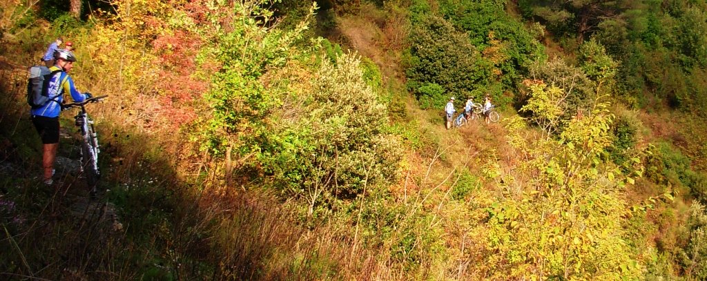 dscn16362.jpg