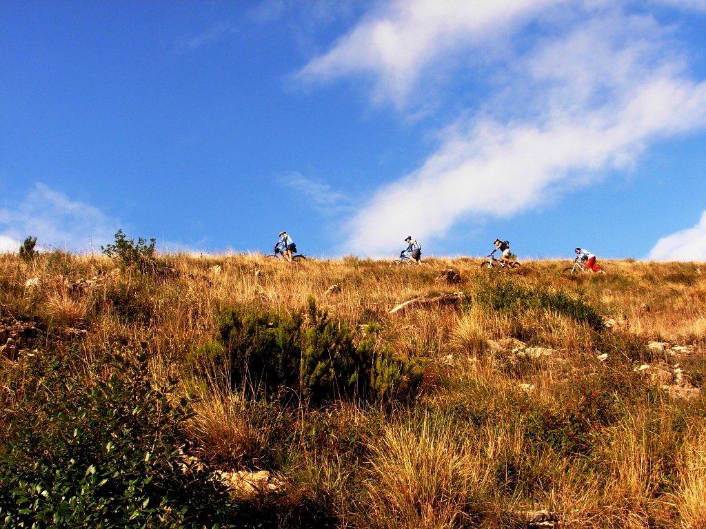 dscn1638.jpg
