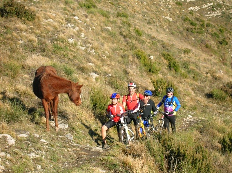 immagine020.jpg
