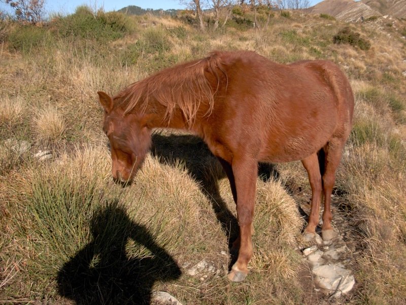 photo20.jpg