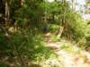 dscn0656_small.jpg