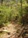 dscn0660_small.jpg