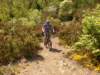 dscn0664_small.jpg