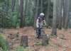 dscn14582_small.jpg