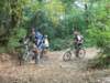 dscn1465_small.jpg