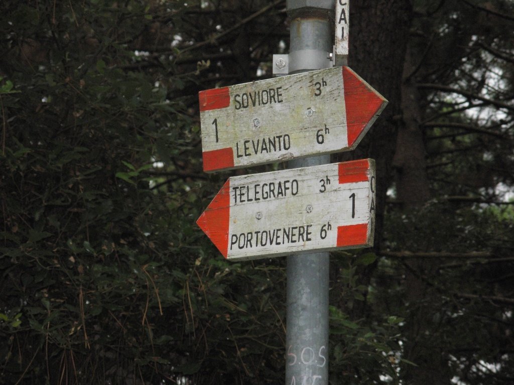 dscn1475.jpg