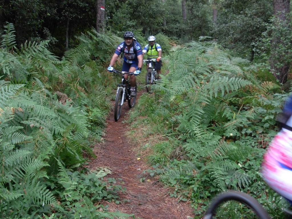 dscn1478.jpg