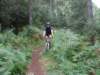 dscn1479_small.jpg