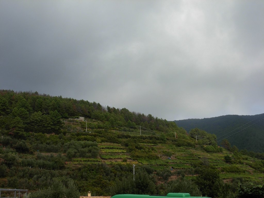 dscn1485.jpg