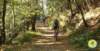 photo3_small.jpg