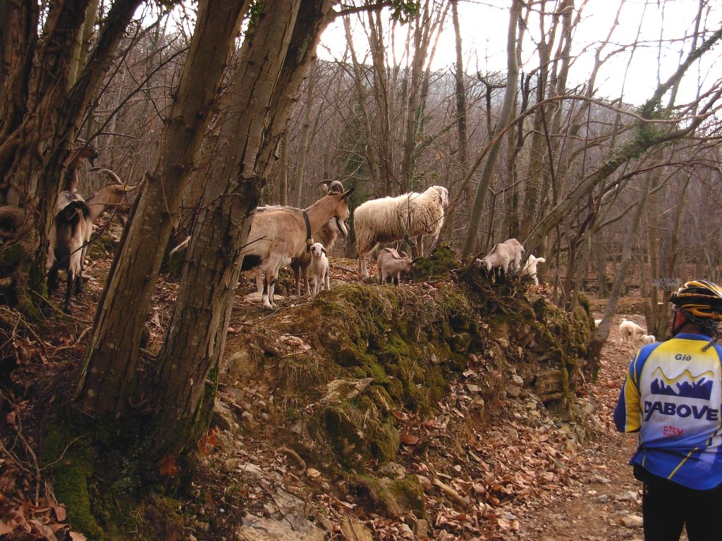 dscn1721.jpg