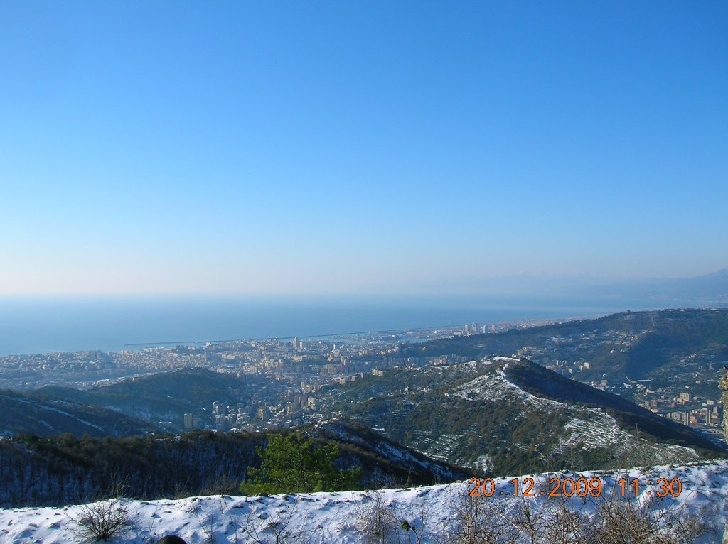 bicchierataratti038.jpg