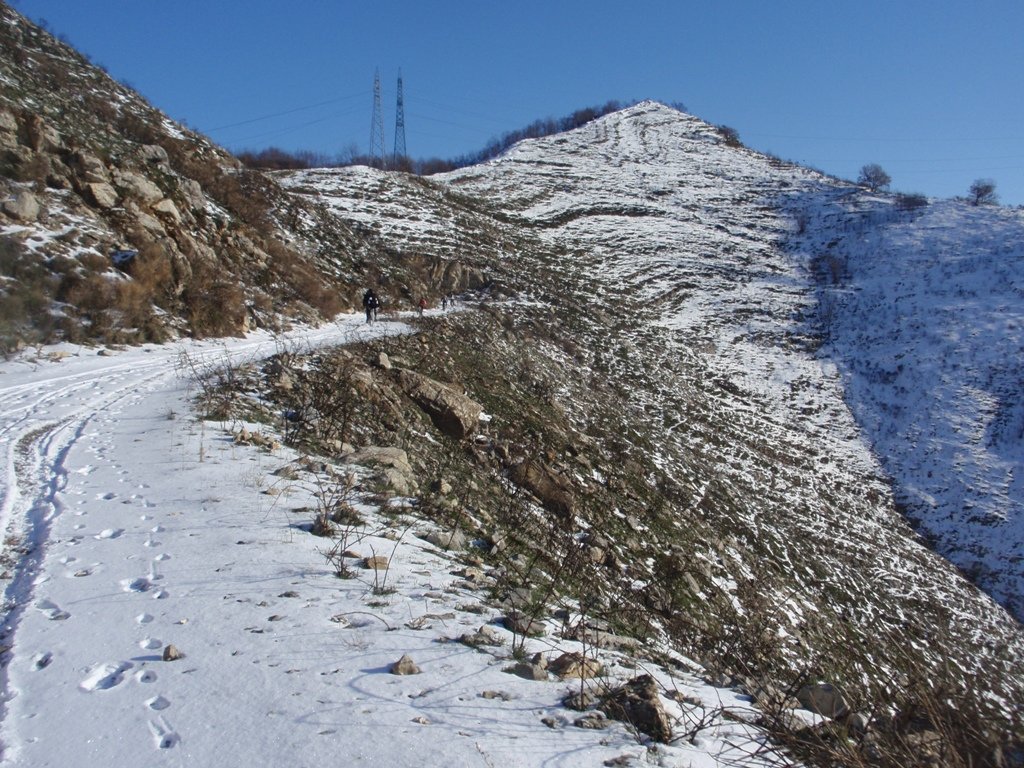 pc200150.jpg