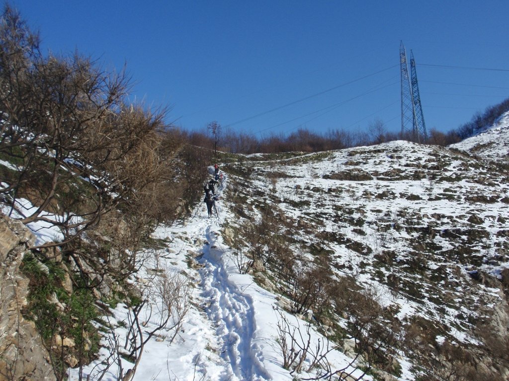 pc200180.jpg