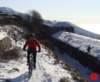 dsc02365_small.jpg