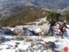 dsc02413_small.jpg