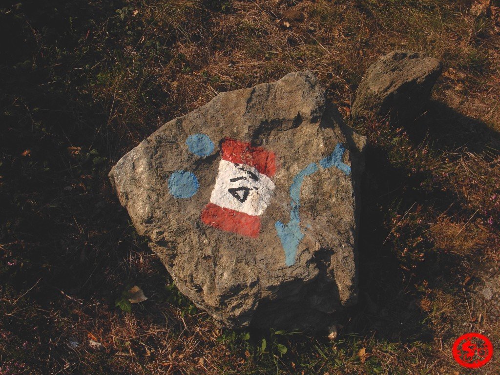 dscn0012.jpg