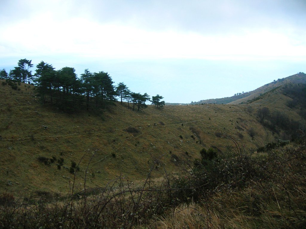 photo19.jpg