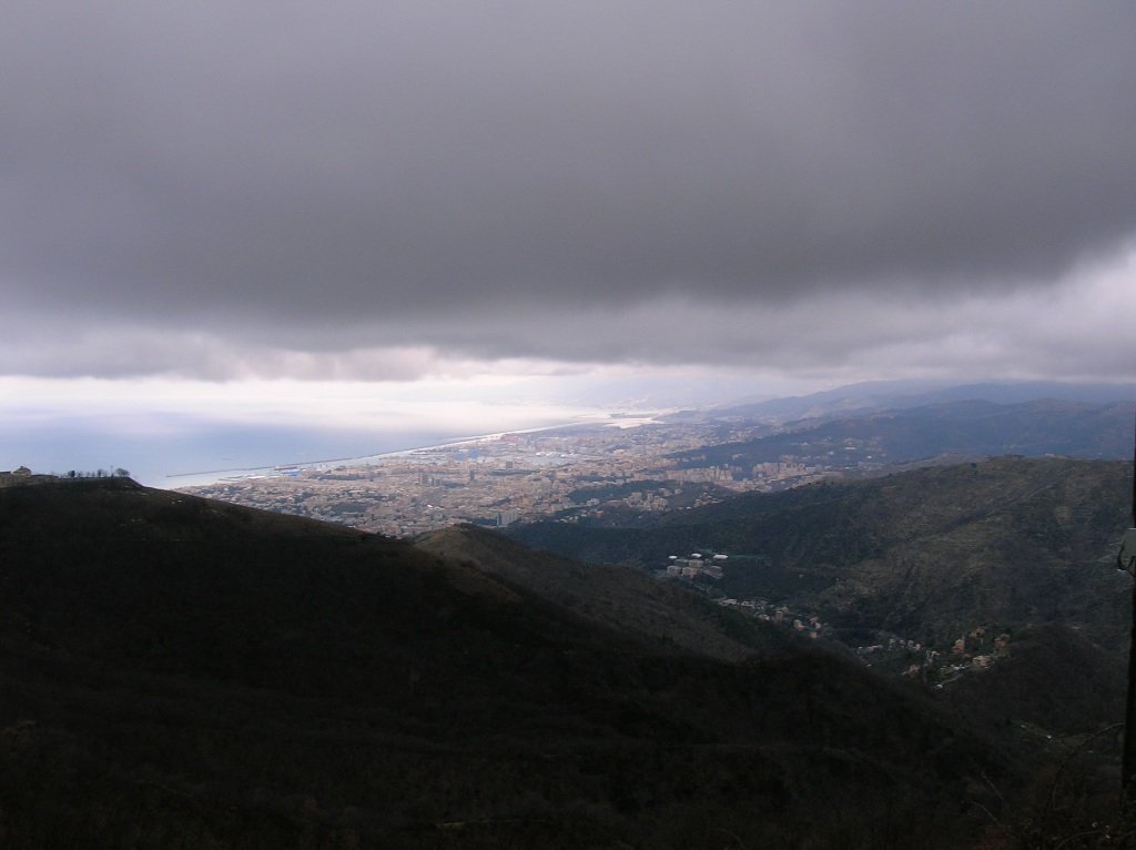 photo25.jpg